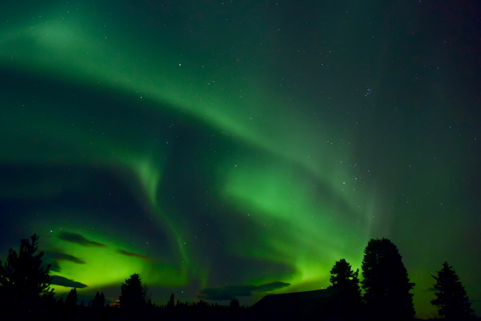 Nordlys over Canadas skove